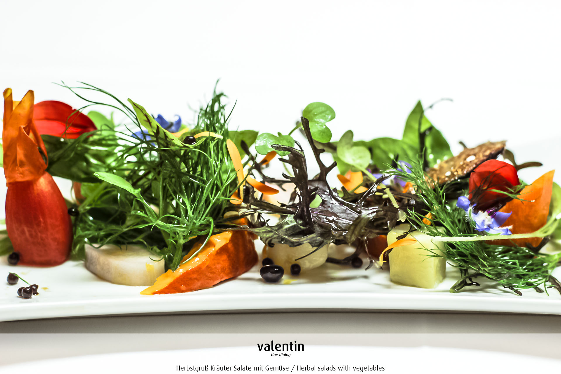 Herbstgruss-Kräuter Salat mit Gemüse